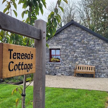 Kilcolgan Teresa'S Cottage מראה חיצוני תמונה